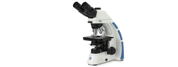 euromex oxion trinoculaire microscoop voor helderveld
